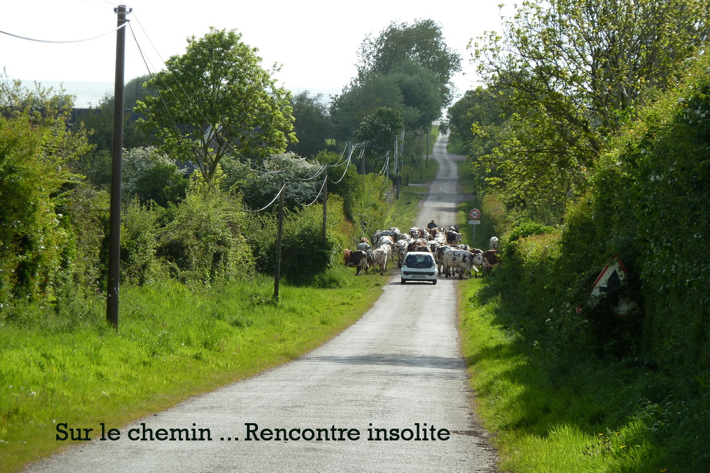 GR223-Aumeville-StVaast-J-9-A.jpg