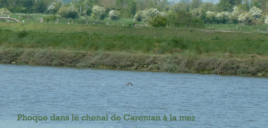 GR223-Isigny--CarentanJ5-F.jpg